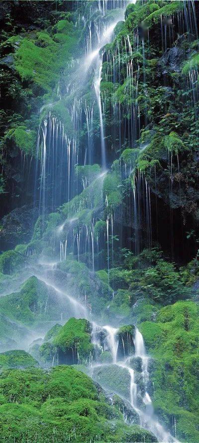 虫虫助手下载
